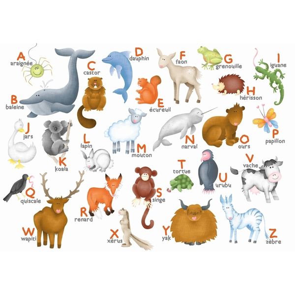 Alphabet Des animaux