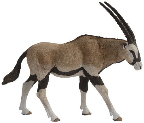 Antilope Oryx