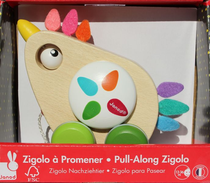 Poule Zigolos à promener