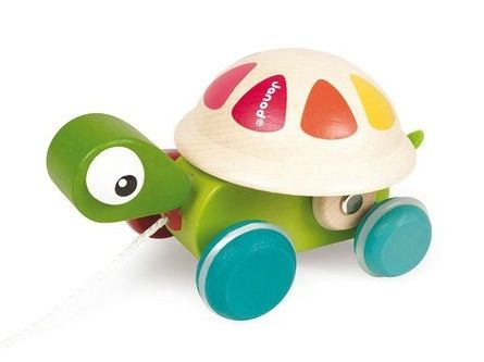 Tortue Zigolo à promener