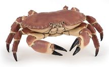 Figurine Crabe PA-56047 Papo 1