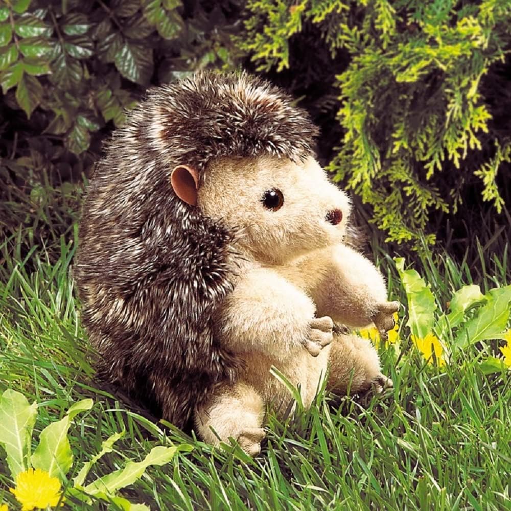 Ensemble De 6 Marionnettes à Main Famille En Peluche Douce – Jeux De Rôle Et Récits Créatifs Pour Enfants