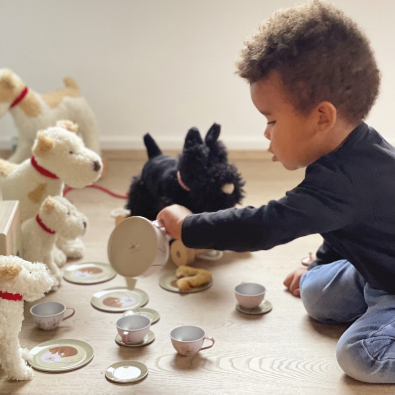 HERSITY Jouet Pique Nique Enfant Service à Thé, Dinette Cuisine Bebe avec Dessert Couverts et