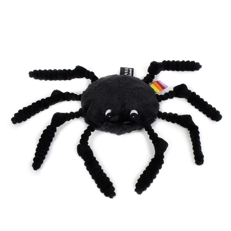 Costume araignée dans une pochette avec crochet