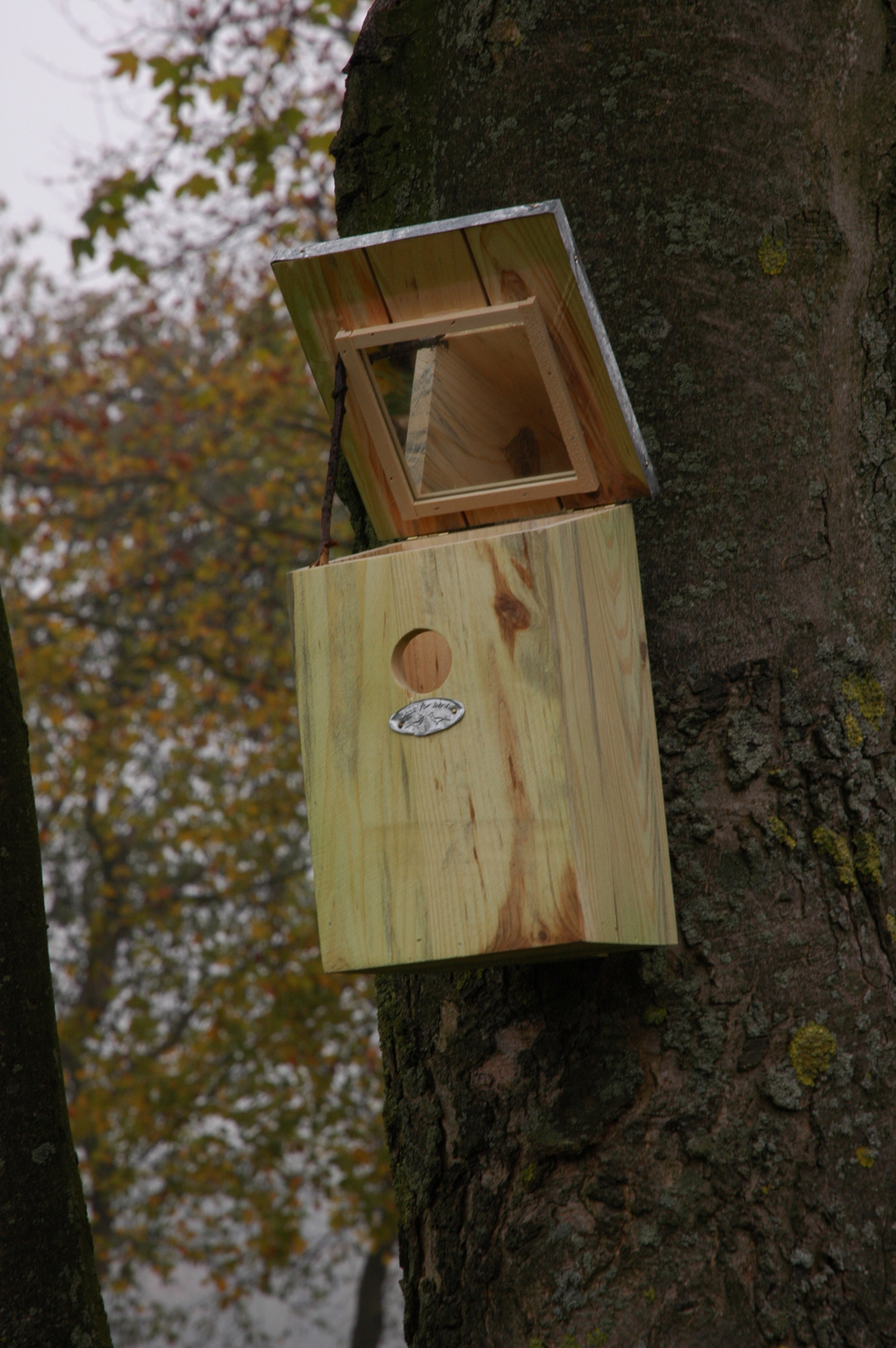 Nichoir à oiseaux modèle Maisonnette en bois - Eschert Design