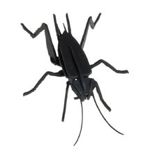 Maquette 3D en papier Cricket FRI-11603 Fridolin 1