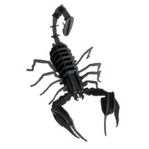 Maquette 3D en papier Scorpion FRI-11604 Fridolin 1