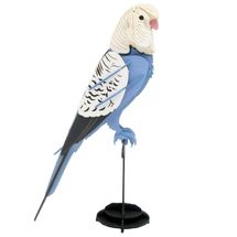 Maquette 3D en papier Perruche Ondulée FRI-11733 Fridolin 1