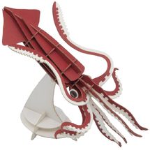 Maquette 3D en papier Calmar géant FR-11743 Fridolin 1