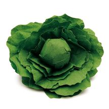 Laitue verte ER12280 Erzi 1