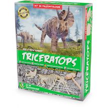 Kit Paleo - Triceratops UL2821 Ulysse 1