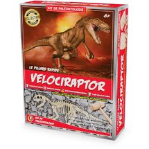 Kit Paleo - Vélociraptor UL2822 Ulysse 1