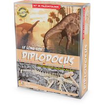 Kit Paleo - Diplodocus UL2824 Ulysse 1