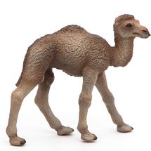 Figurine Bébé dromadaire PA50166-5276 Papo 1