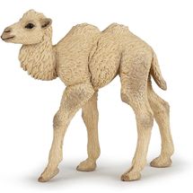 Figurine Bébé chameau PA50221 Papo 1