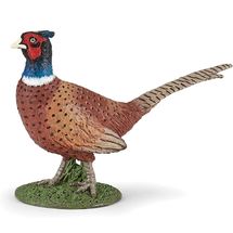 Figurine Faisan PA-50263 Papo 1