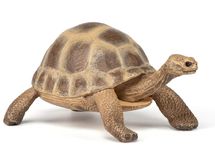 Figurine Tortue d'Hermann PA-50264 Papo 1