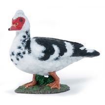 Figurine Canard de Barbarie PA-51189 Papo 1