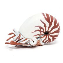 Figurine Nautile PA-56061 Papo 1