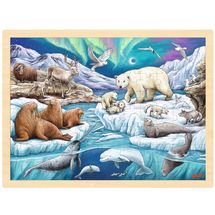 Puzzle Nuit polaire GK57328 Goki 1