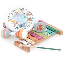 Set de musique animaux Sarah Betz V7114 Vilac 1