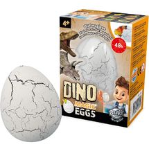 Dino Œuf Magique BUK-D6G Buki France 1