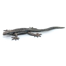 Figurine Lézard commun PA-50300 Papo 1