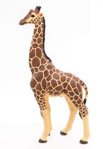 Figurine Girafe mâle PA50149-3612 Papo 1