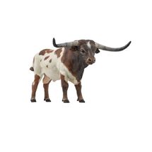 Figurine Taureau Longhorn PA-51156 Papo 1