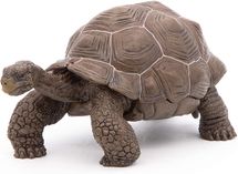 Figurine Tortue des galapagos PA50161-3929 Papo 1