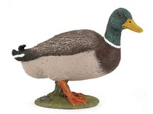 Figurine Canard colvert PA51155-3129 Papo 1