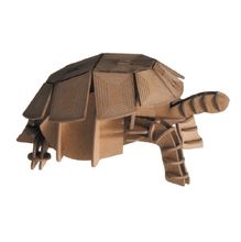 Maquette 3D en papier Tortue FR-11625 Fridolin 1