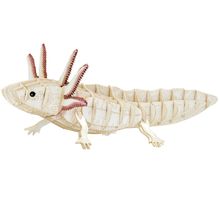 Maquette 3D en papier Axolotl FR-11755 Fridolin 1