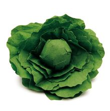 Laitue verte ER12280 Erzi 1