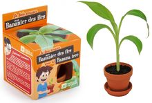 Radis et Capucine Coffret de jardinage MINI SERRE POUR AROMATES BIO