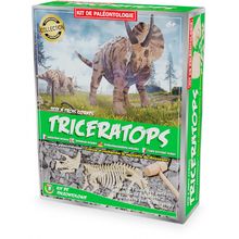 Kit Paleo - Triceratops UL2821 Ulysse 1