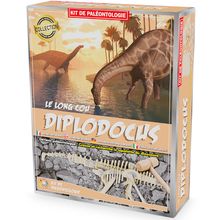 Kit Paleo - Diplodocus UL2824 Ulysse 1
