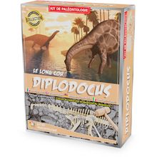 Kit Paleo - Diplodocus UL2824 Ulysse 1
