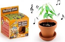 Je fais pousser ma Plante qui danse RC-028733 Radis et Capucine 1