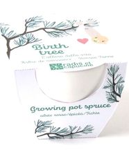 Pot céramique blanc 8 cm - Arbre de naissance RC-036595 Radis et Capucine 1