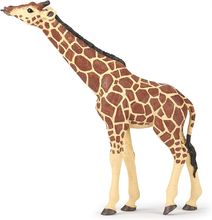 Figurine Girafe tête levée PA50236 Papo 1