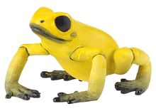 Figurine Grenouille équatoriale jaune PA50174 Papo 1