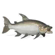 Figurine Poisson tigre goliath PA-56065 Papo 1