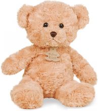 Peluche Ours Câlin Miel 21 cm HO2469 Histoire d'Ours 1