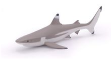 Figurine Requin à pointes noires PA56034 Papo 1