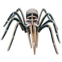 Araignée Mygale 3D DAM002-2614 Bones & More 1