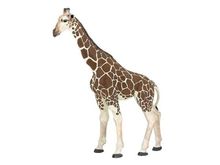 Figurine Girafe PA50096-2914 Papo 1
