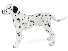 Figurine Dalmatien PA54020-3501 Papo 1