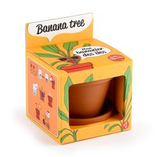 Je fais pousser mon Bananier RC-014265 Radis et Capucine 1