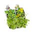 Coffret Mini Potager RC-034139 Radis et Capucine 6